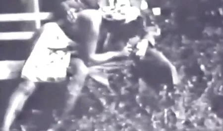 Дівчина порно відео з животними з великою дупою