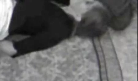 Вона дала йому покривала і тримала його порно фільми з тваринами за руки у ванній